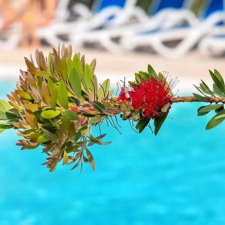 Ξενοδοχείο Sowell Family Riviera Saint-Raphaël