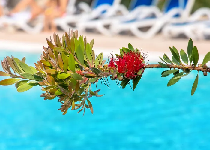 Sowell Family Riviera Hotel 4*